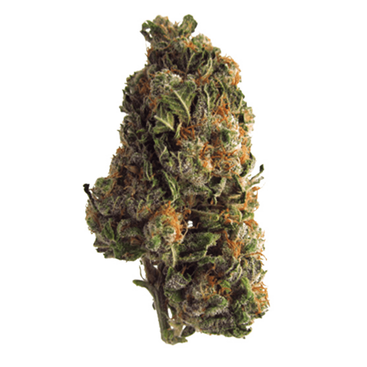 Blue Dream (Popcorn) | BC Weed Edible Canada