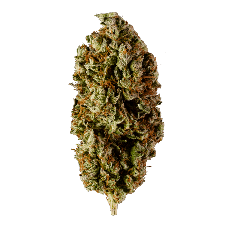 Watermelon | BC Weed Edible Canada