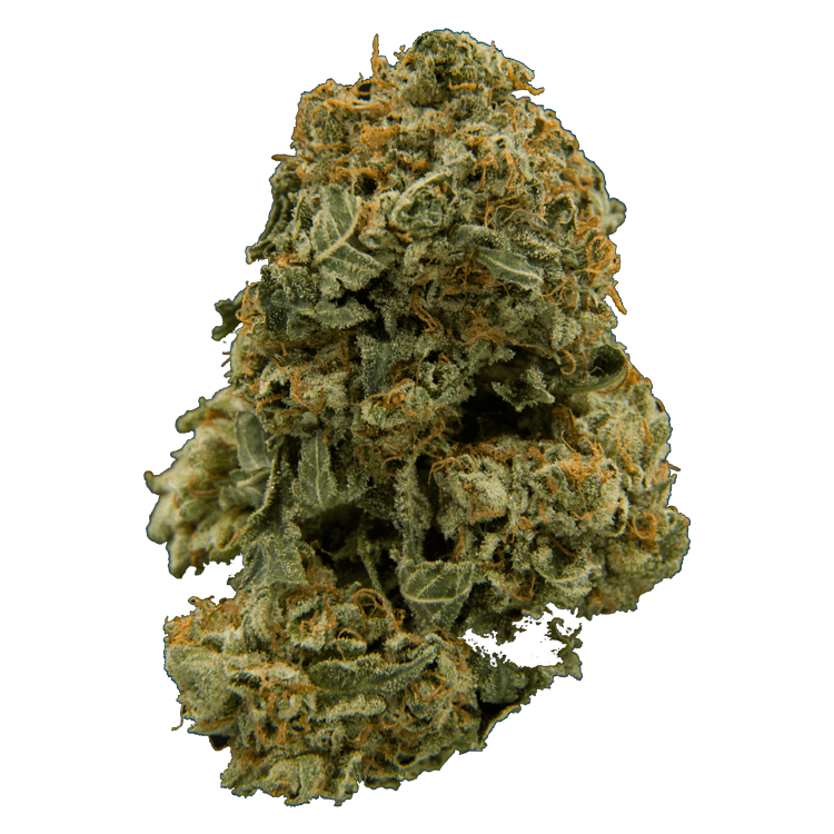 Iced Widow – 1 Ounce | BC Weed Edible Canada