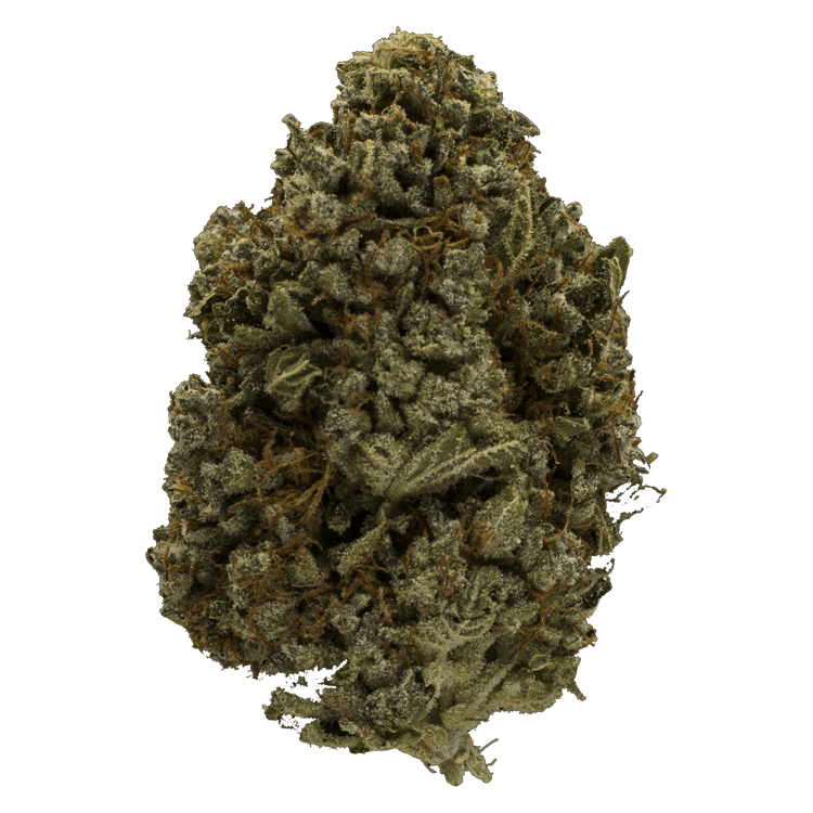 Lemon Hash | BC Weed Edible Canada