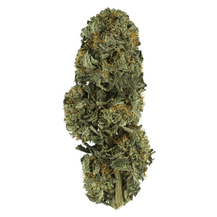 Northern Lights – 1 Ounce | BC Weed Edible Canada