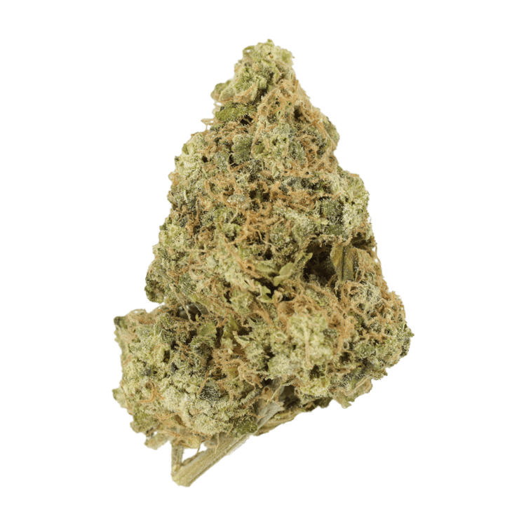 Zombie OG | BC Weed Edible Canada