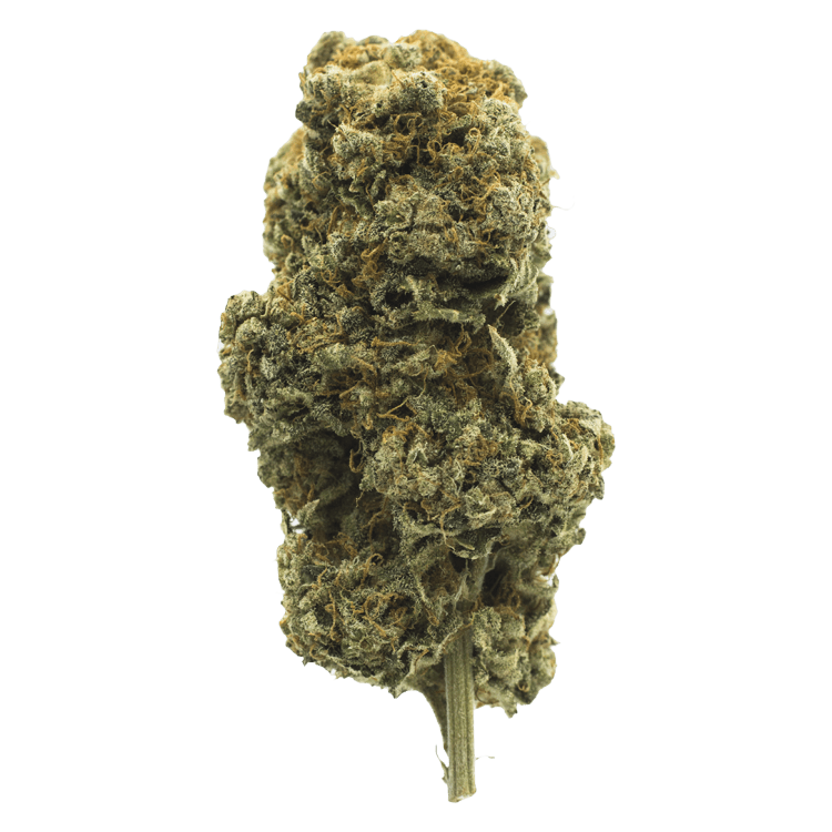 Orange Creamsicle | BC Weed Edible Canada