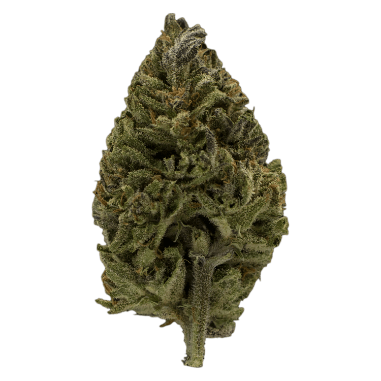 Super Mario GA | BC Weed Edible Canada