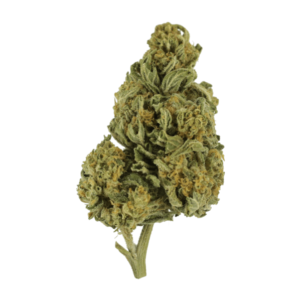 Blackwater | BC Weed Edible Canada