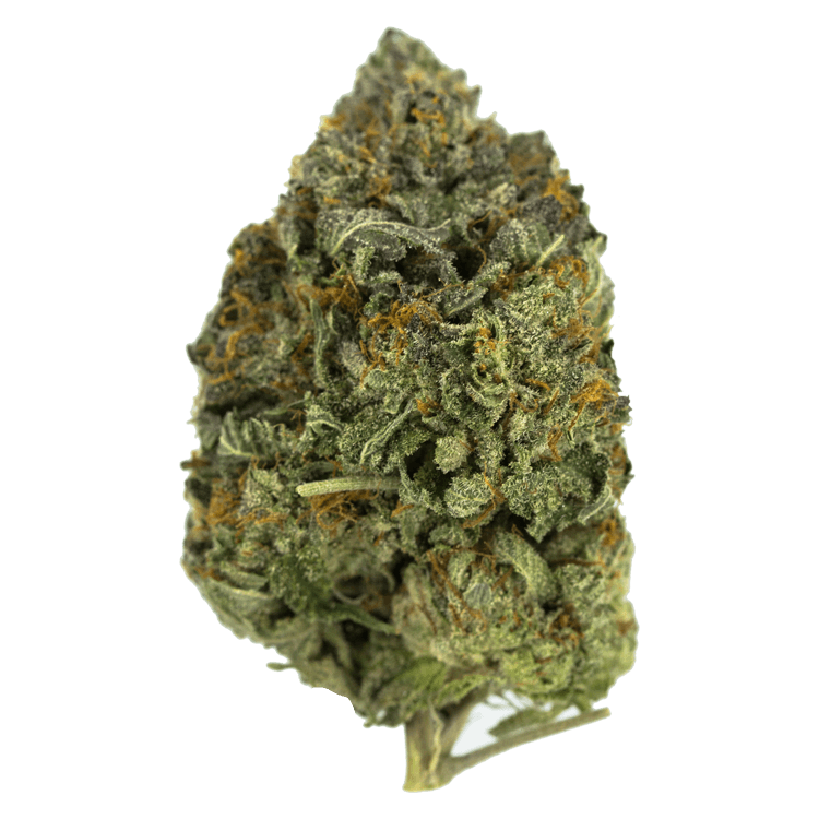 Dancehall | BC Weed Edible Canada