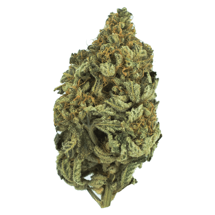 Bakerstreet | BC Weed Edible Canada