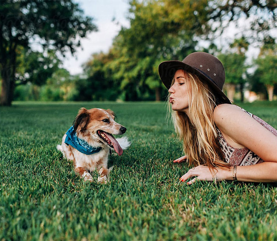  | BC Weed Edible Canada