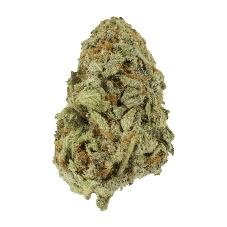 Cherry Blossom – 1 ounce | BC Weed Edible Canada