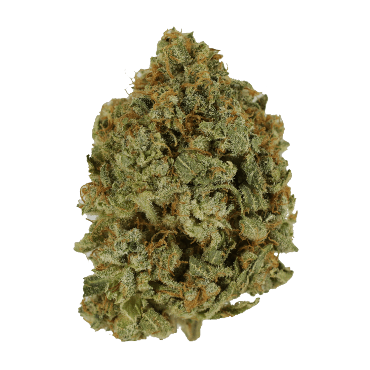 Crazy Glue | BC Weed Edible Canada