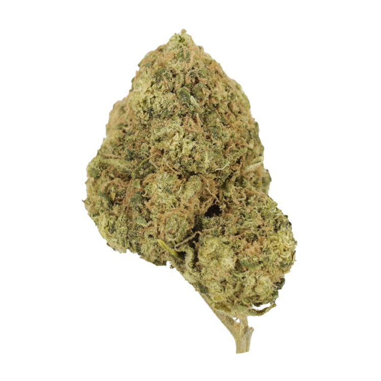 Mr Clean | BC Weed Edible Canada