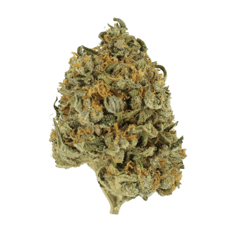 Banana Punch | BC Weed Edible Canada