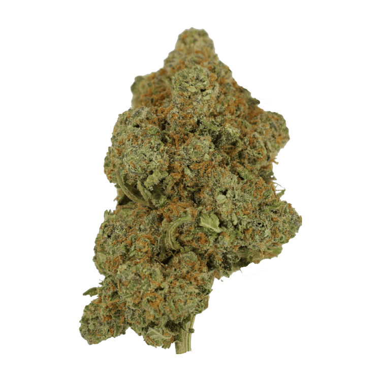 Tropicana Cookies | BC Weed Edible Canada