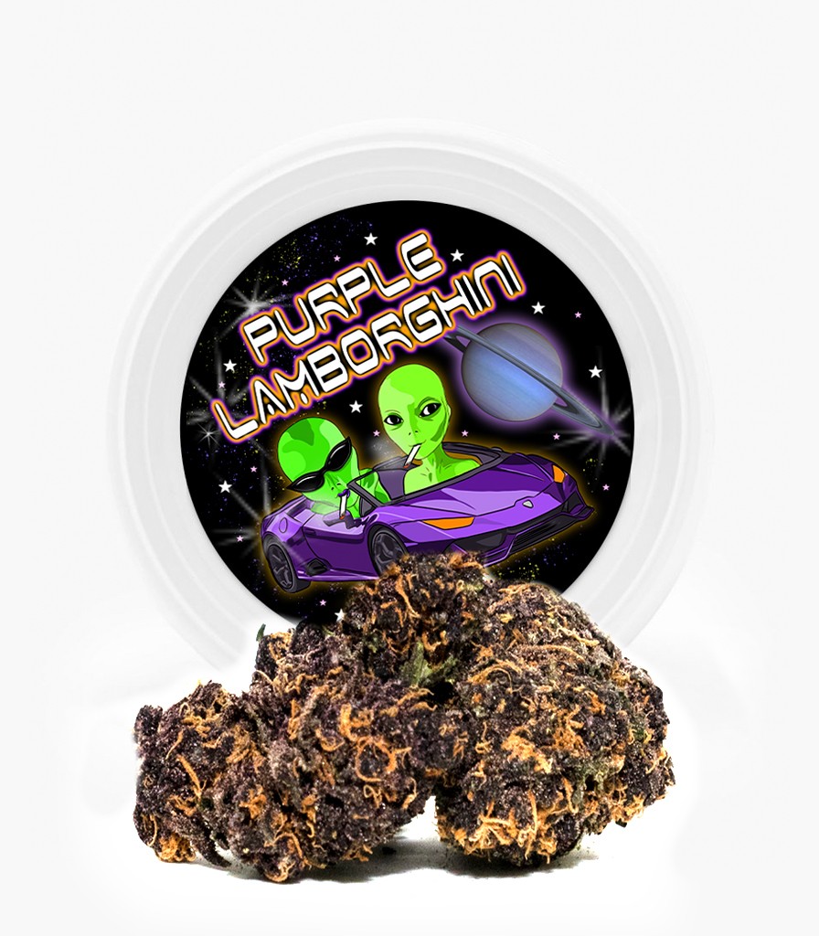 Westcoast Cali Tins – Premium Flower – Purple Lamborghini – 3.5g | BC Weed Edible Canada