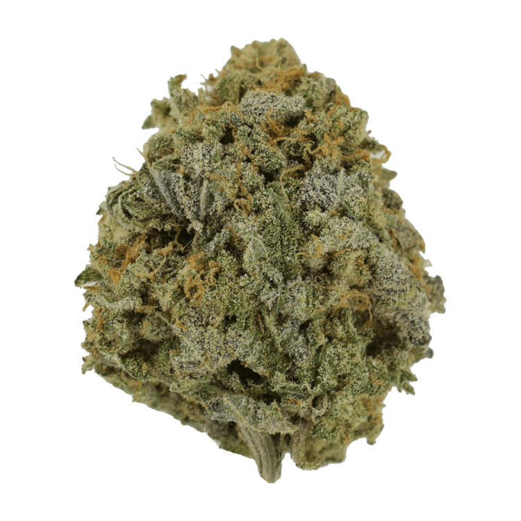 Pink Tuna (Popcorn) – $40/oz | BC Weed Edible Canada