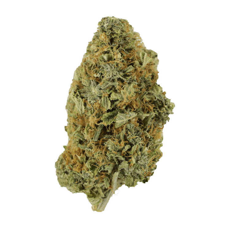 Purple Tuna – 1 ounce | BC Weed Edible Canada