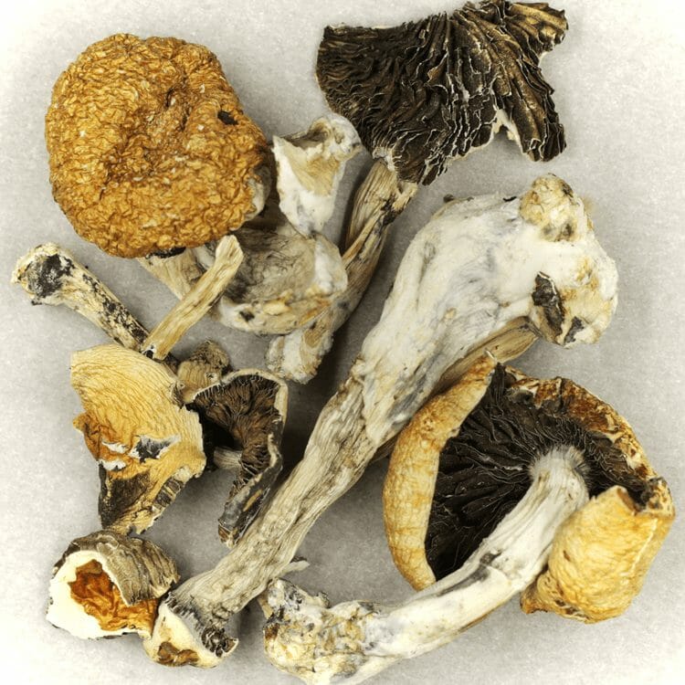 Thai Elephant | BC Weed Edible Canada