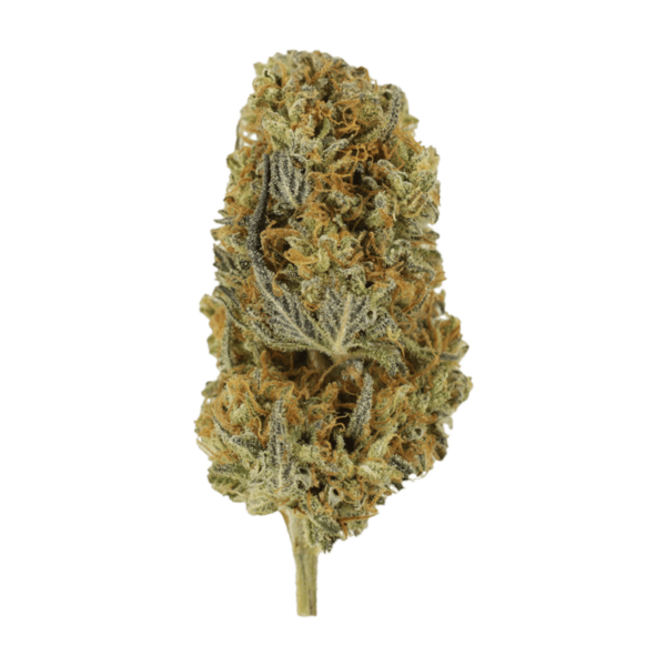 Headband | BC Weed Edible Canada