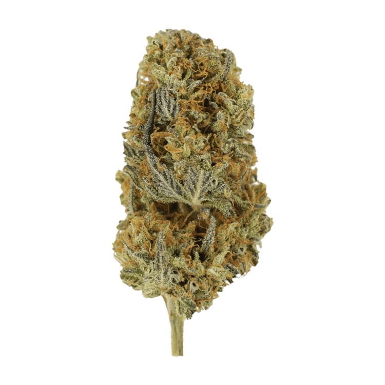 Headband | BC Weed Edible Canada
