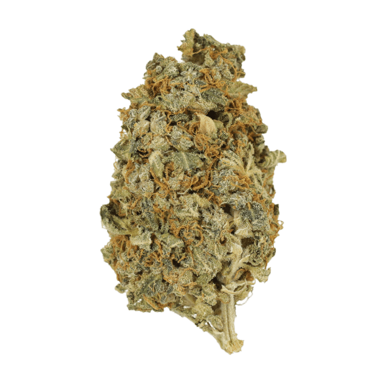 Mint Cookies | BC Weed Edible Canada