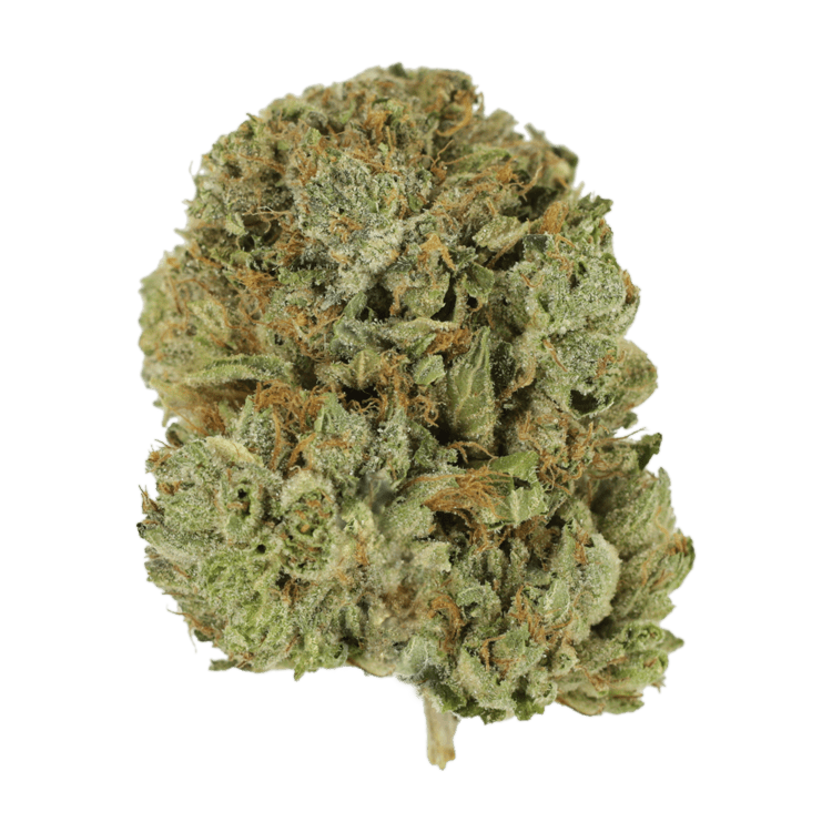 Pink Taco | BC Weed Edible Canada