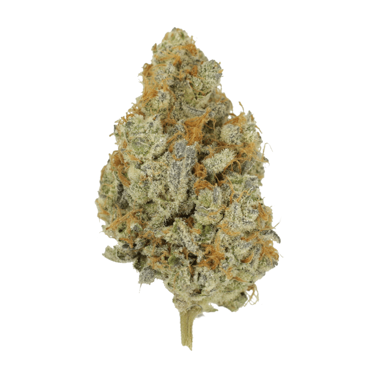 Peanut Butter Rockstar | BC Weed Edible Canada