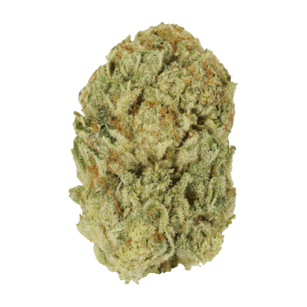 Trap Star | BC Weed Edible Canada