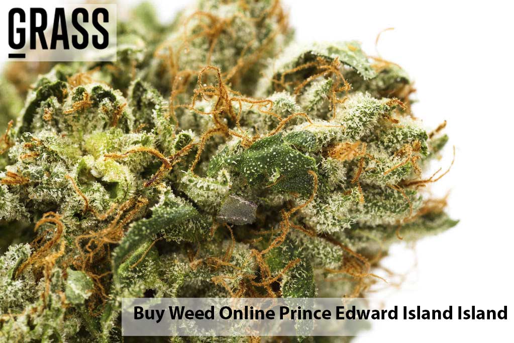  | BC Weed Edible Canada