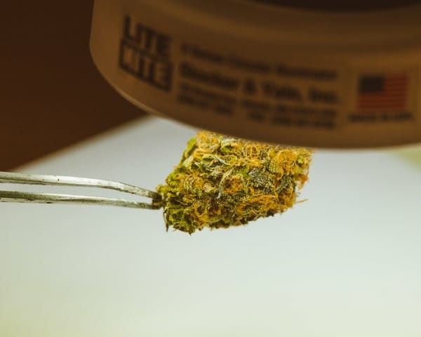  | BC Weed Edible Canada
