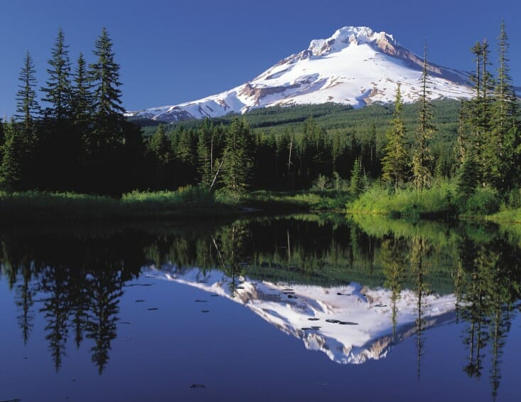  | BC Weed Edible Canada