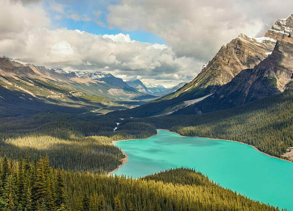  | BC Weed Edible Canada