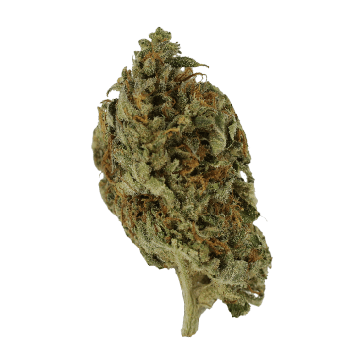 Island Haze | BC Weed Edible Canada