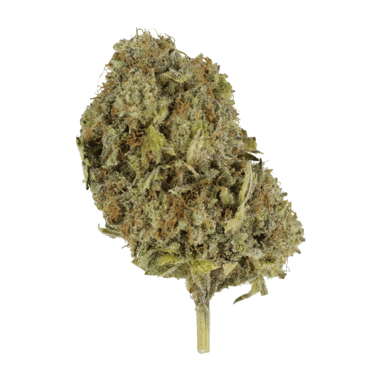California Orange | BC Weed Edible Canada