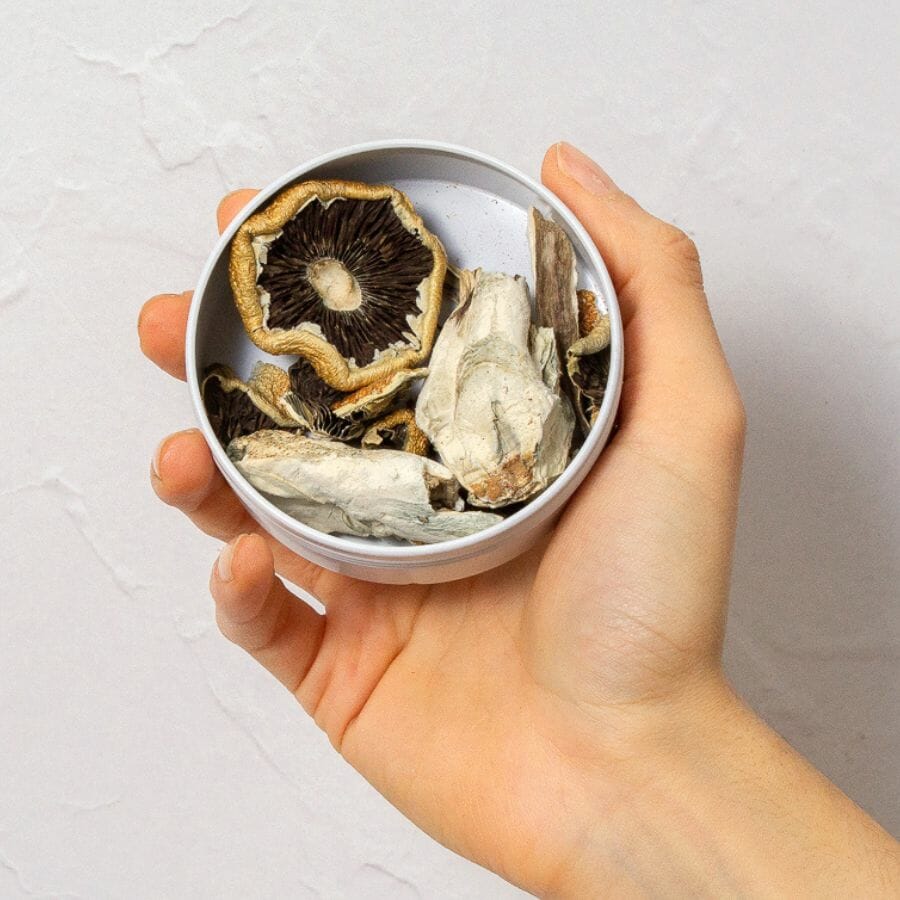 Mushroom Sample Pack – 14g – Save 20% | BC Weed Edible Canada