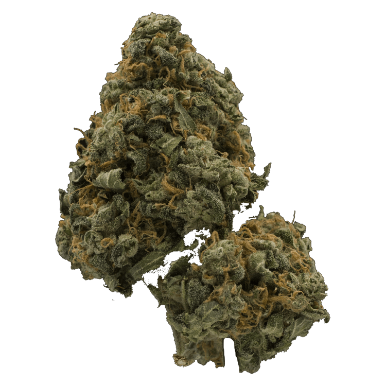 Mandarin Cookie (popcorn) | BC Weed Edible Canada